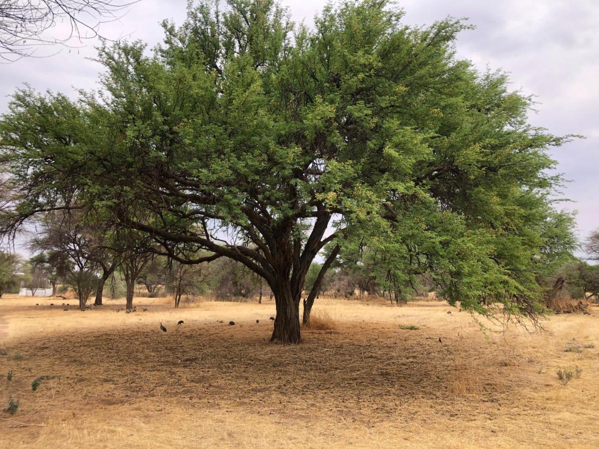 Okahandja Country Hotel المظهر الخارجي الصورة